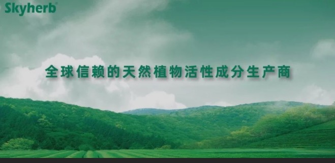 多年不懈努力，終獲官方青睞！